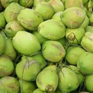 Fresh Coconut For Sale