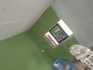 Papa Painter