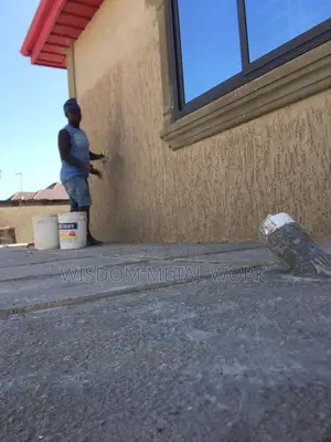 Professional Graphiato Painter