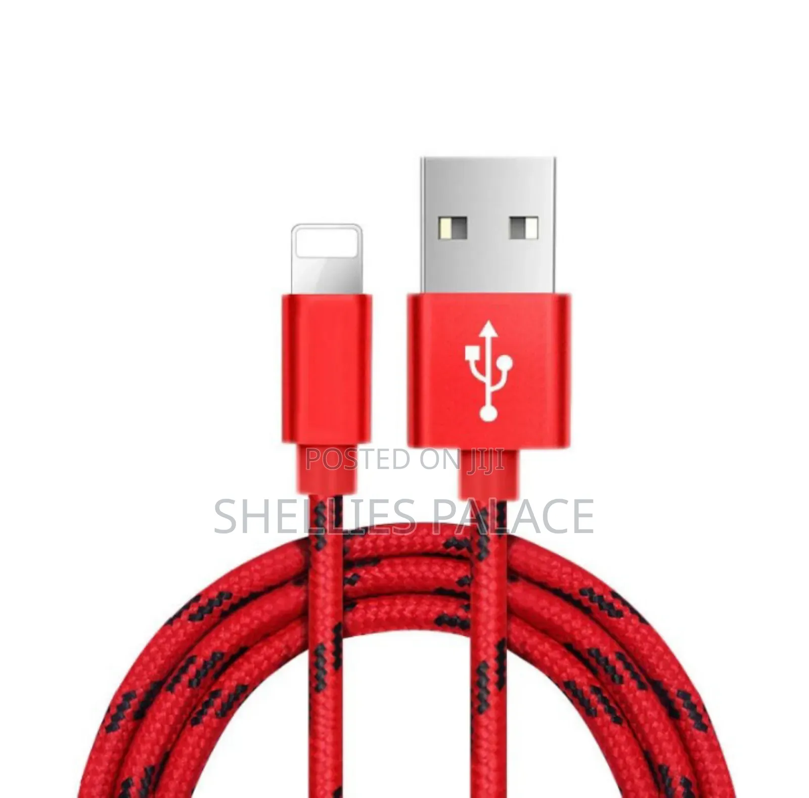 USB to iPhone Charging Cord - 1m