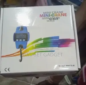 300kg Digital Crane Scale