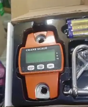 300kg Digital Crane Scale