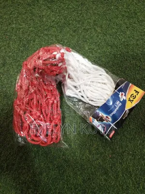 Basketball Net