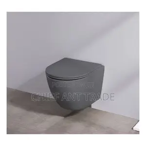 Wall Hung Wc. Concealed Toilet Seat. Wall