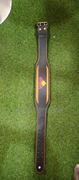 Gym Fitness Belt
