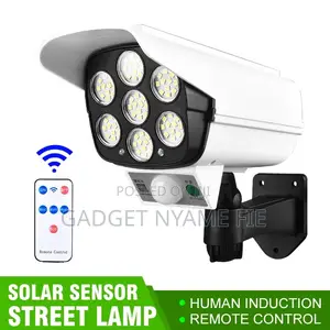Solar Outdoor Lamp (Remote Control + Motion Sensor)