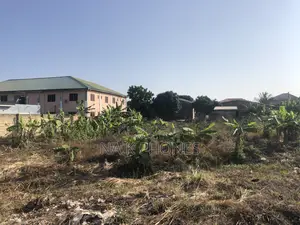 Two Plots of Land for Sale at Gomoa Buduburam
