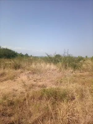 Alpha Properties Land at Winneba for Sale