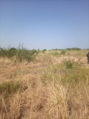 Alpha Properties Land at Winneba for Sale