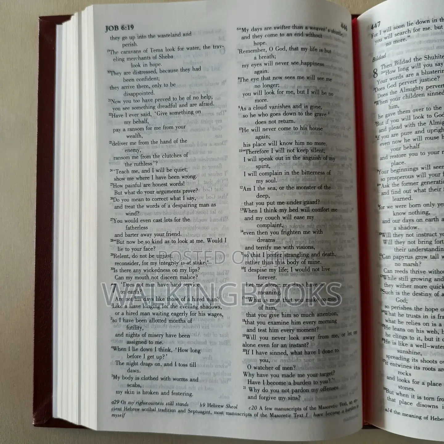 NIV Bible,Comes in Different Colors