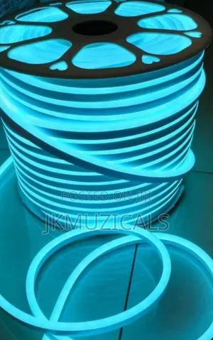 10m Neon Led Strip Light_ Waterproof