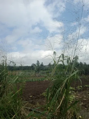 Acre of Land for Sale Aburi Nsawam Road