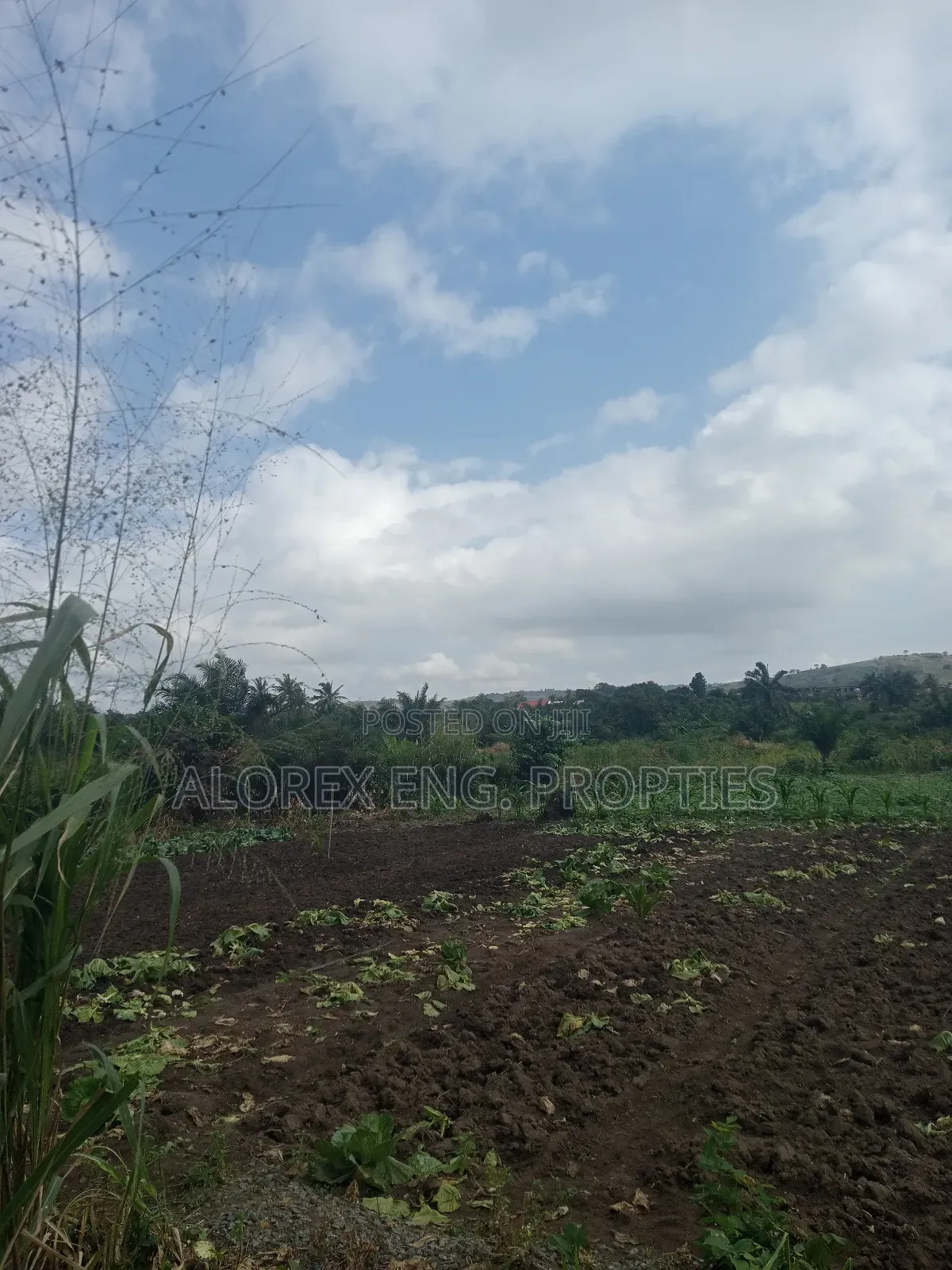 Acre of Land for Sale Aburi Nsawam Road