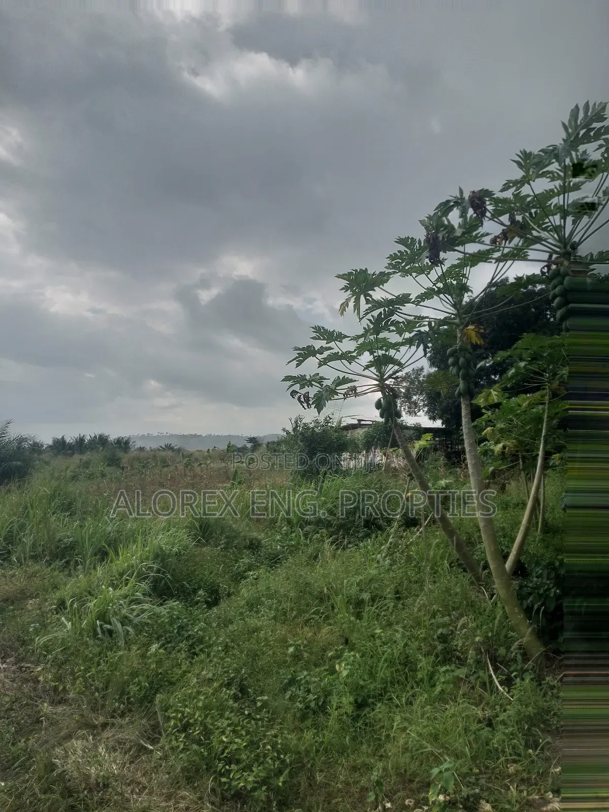 Acre of Land for Sale Aburi Nsawam Road