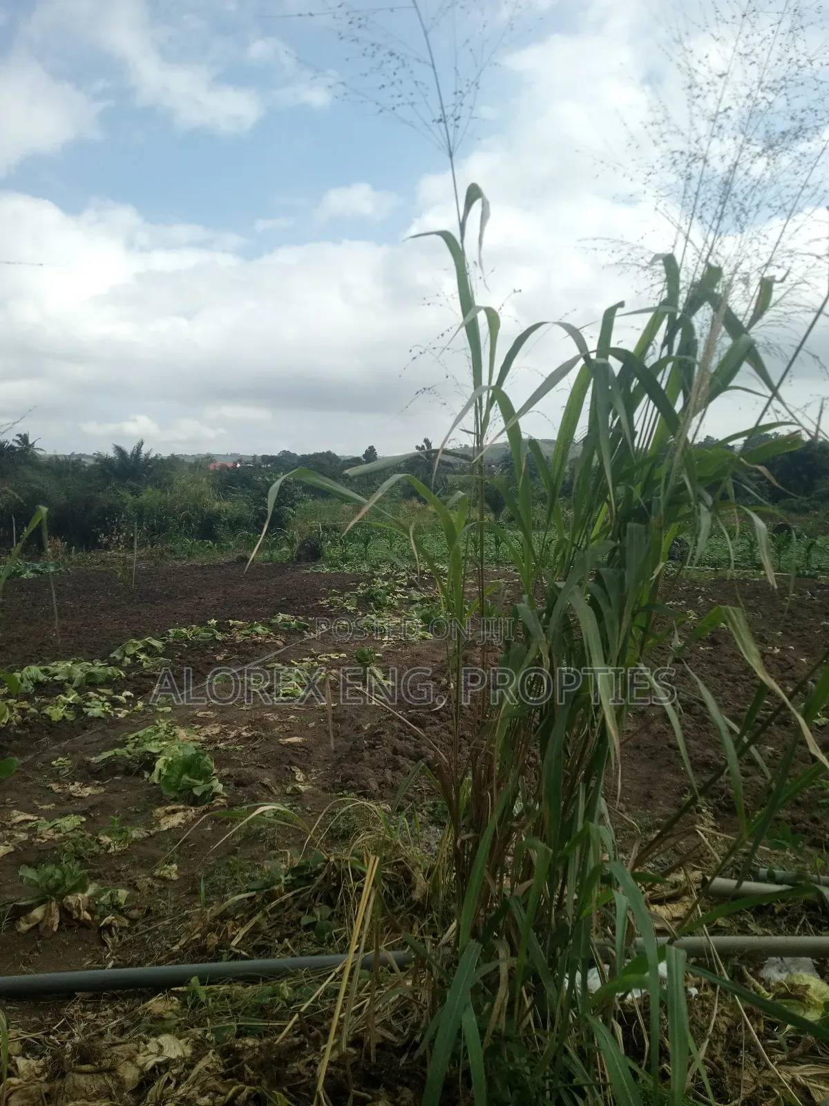 Acre of Land for Sale Aburi Nsawam Road
