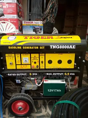 Tiger Generator 6.5kva
