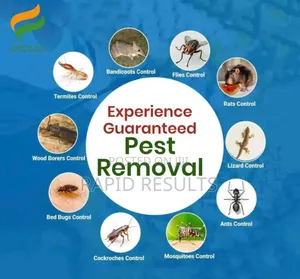 Experience Guaranteed Pest Removal