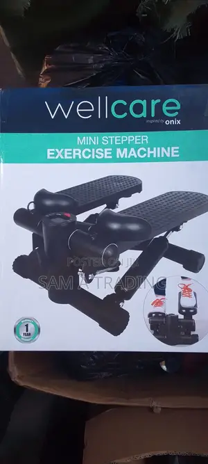 Mini Stepper Exercise Machine