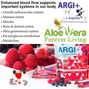 Cardiovascular Health/Blood Circulation Within Your Vessel