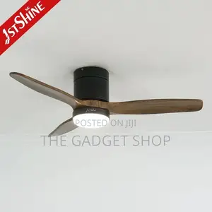 Ceiling Fan With Light(Wooden Blade)