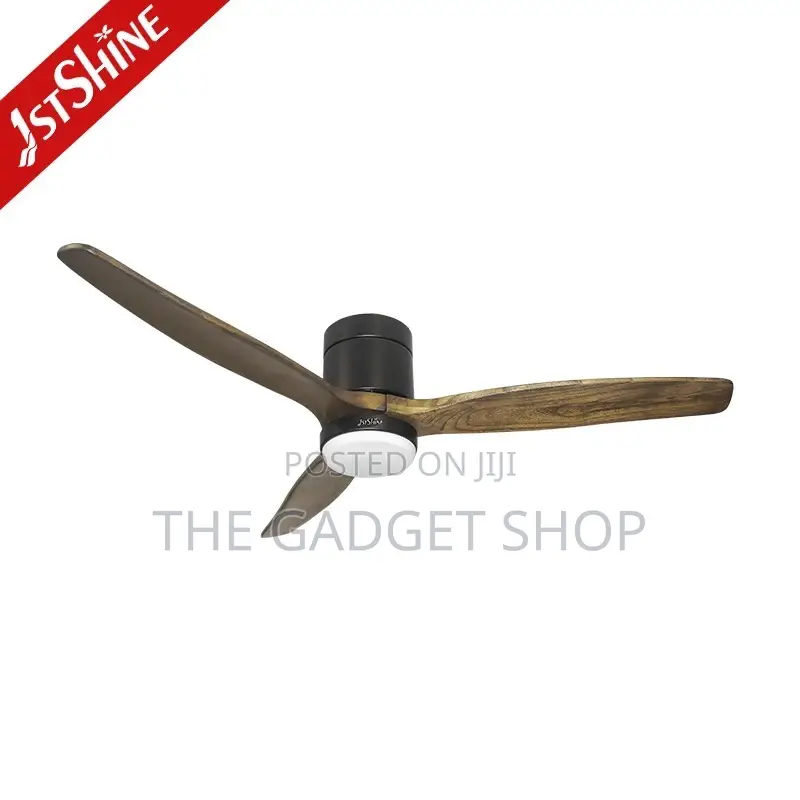 Ceiling Fan With Light(Wooden Blade)