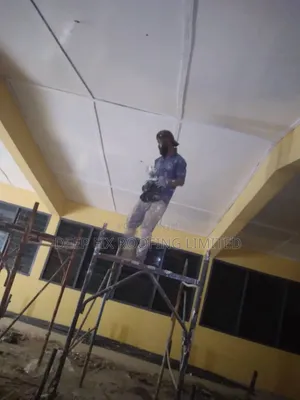 Professional Painter