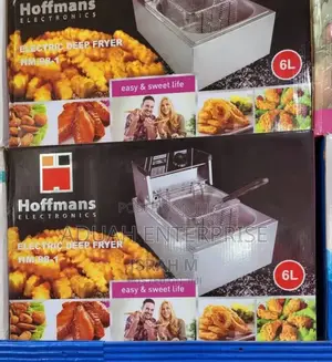 Electric Deep Fryer