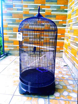 Imported Quality Parrot Cages