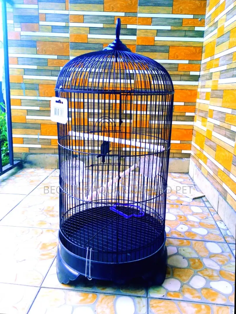 Imported Quality Parrot Cages