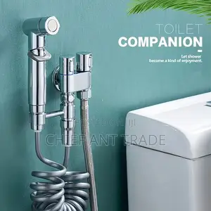Silver Bidet Pressure Gun.