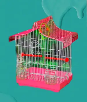 Finches Birdcage