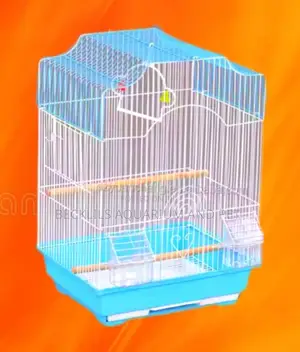 Cages for Love Birds