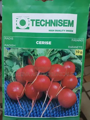 Radish Seeds