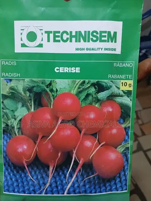 Radish Seeds