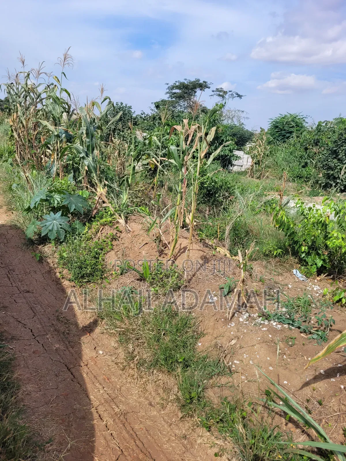 Two Plots of Land for Sale at Santa'si Darko
