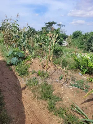 Two Plots of Land for Sale at Santa'si Darko
