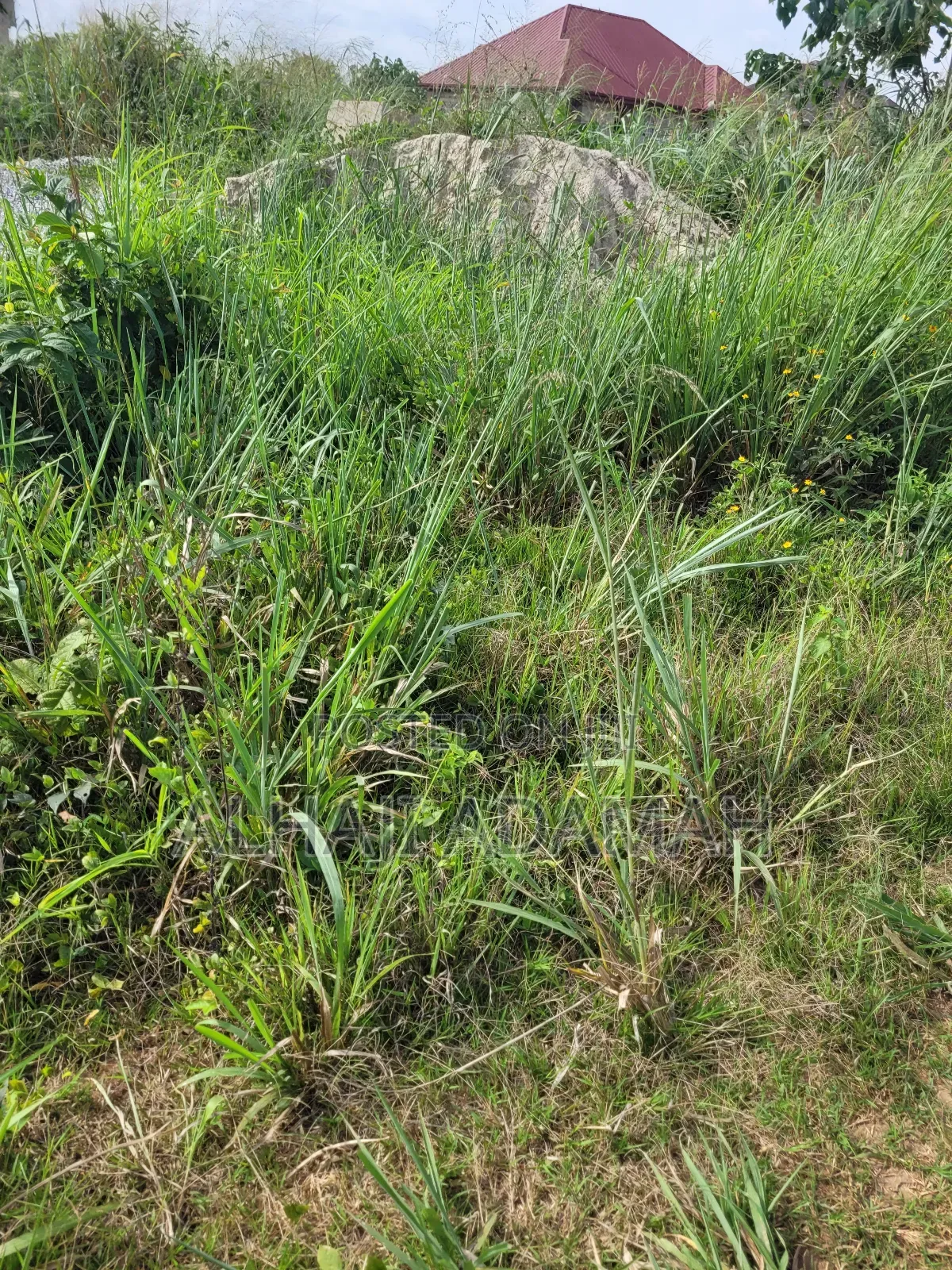 Two Plots of Land for Sale at Santa'si Darko