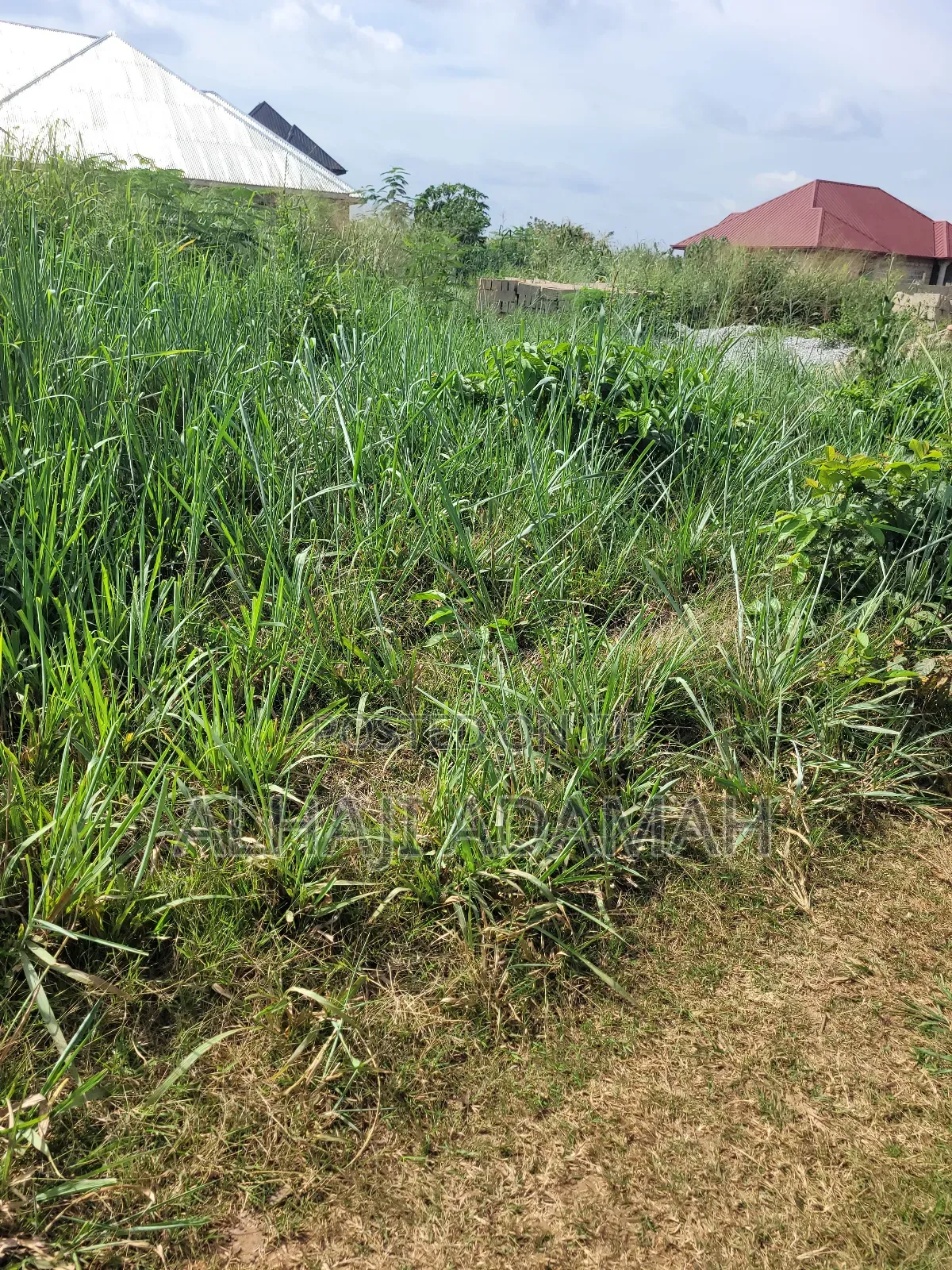 Land for Sale at Santa'si Darko