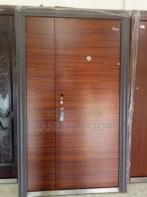 Chinese Modern Security Door Affordable