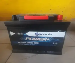 15 Plates Coronix Battery + Free Delivery