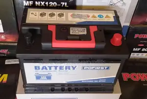 Pofirst Car Battery for Camry + Free Delivery