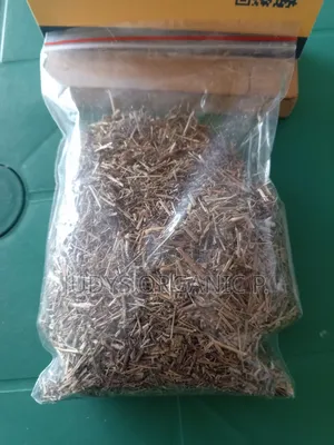 Cleavers Herbs