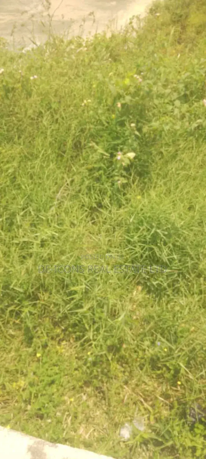 3 Plots of Multi Purpose Land for Sale