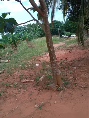 Plot of Land for Sale
