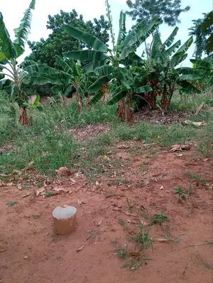 Plot of Land for Sale