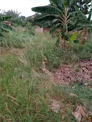 Plot of Land for Sale