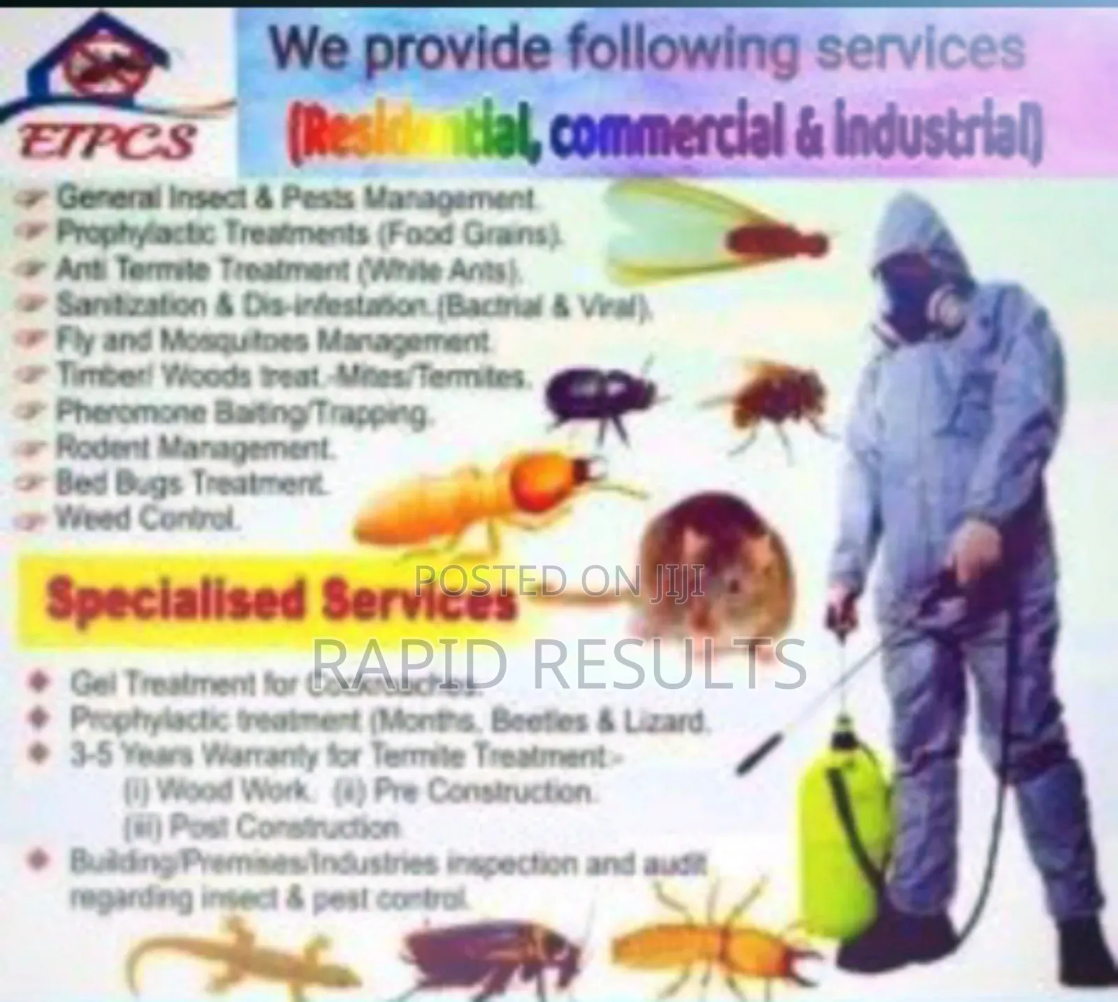 Bedbugs, Ticks, Fleas, Flies, Bat's, Rat , Term Specialist