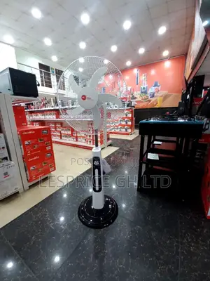 Remote Control Standing Fan AC