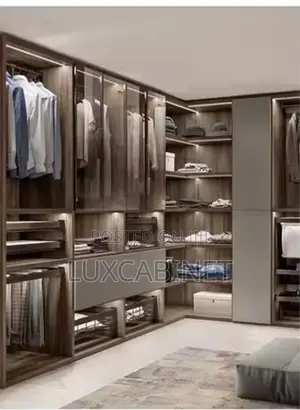 Modern Walk in Closet