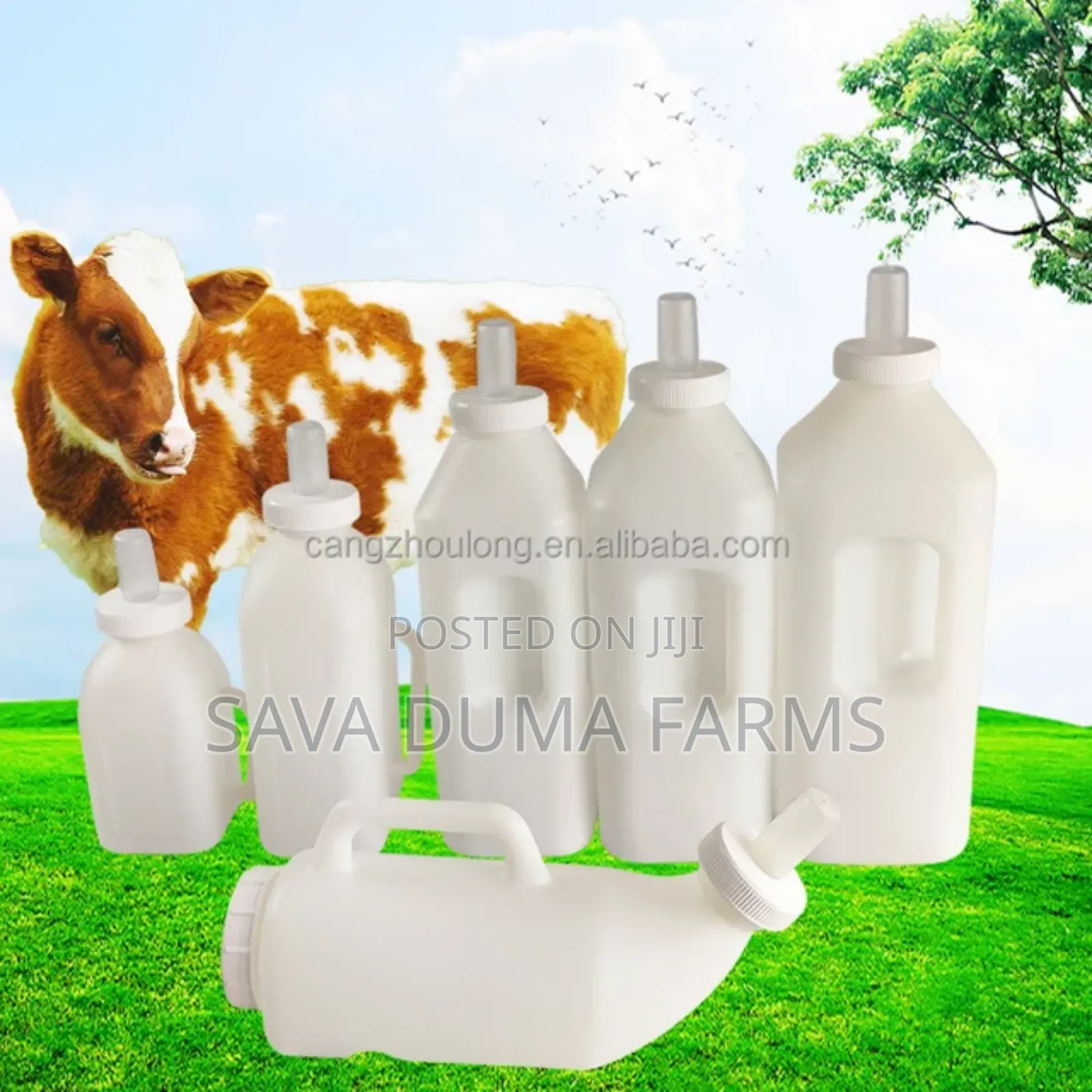 2 Litre Calf Feeding Bottle